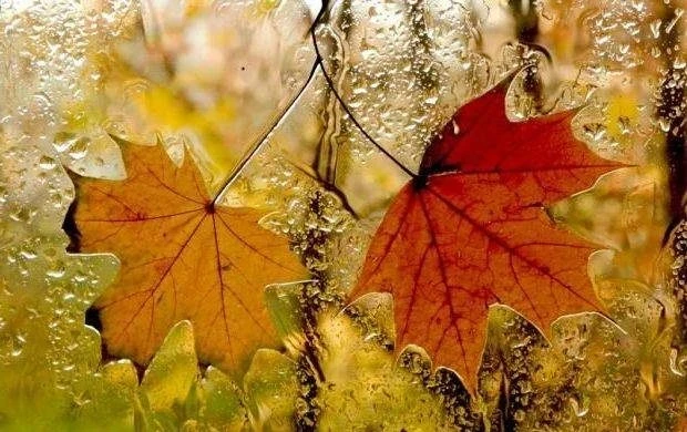 Важные дела и строгие запреты народного праздника 25 сентября 2025 года