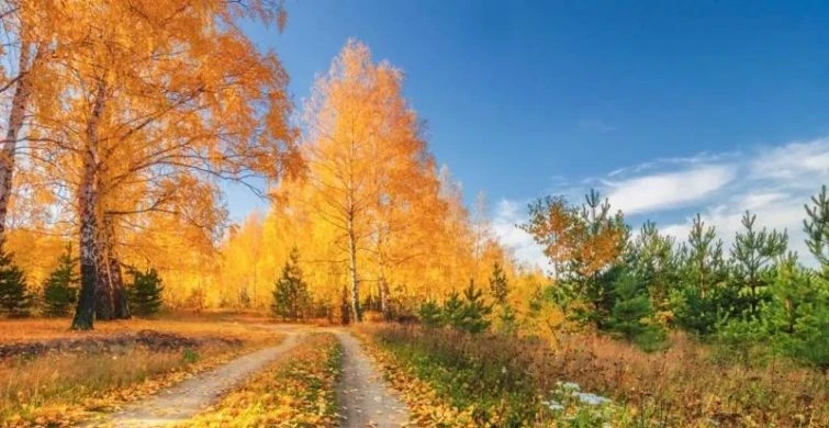 Православные праздники, которые празднуют верующие 25 сентября 2025 года