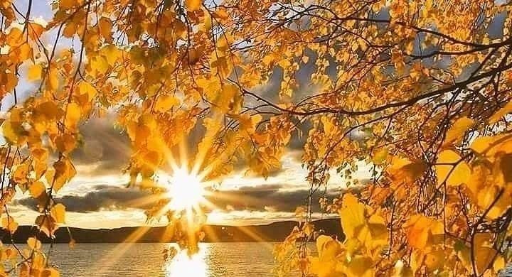 В России и во всем мире 25 сентября 2025 года отмечается множество праздников