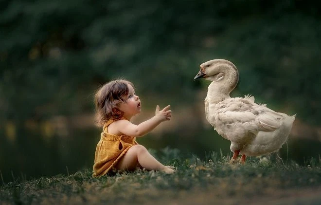 Почему в народном календаре мученика Никиту Готфского, память которого почитают 28 сентября, Гусятником прозвали