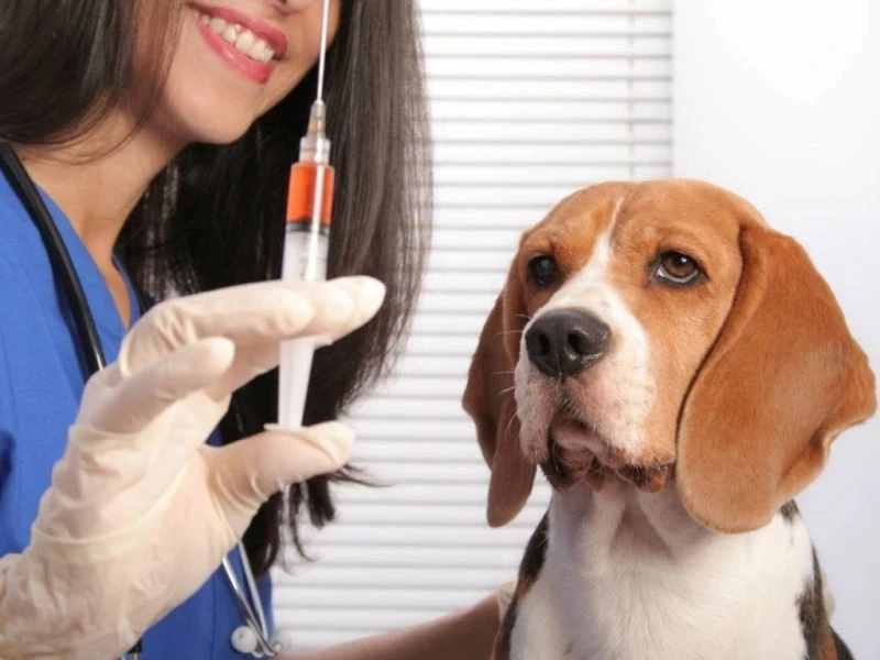 Профессиональные и международные праздники, отмечаемые 28 сентября 2025 года