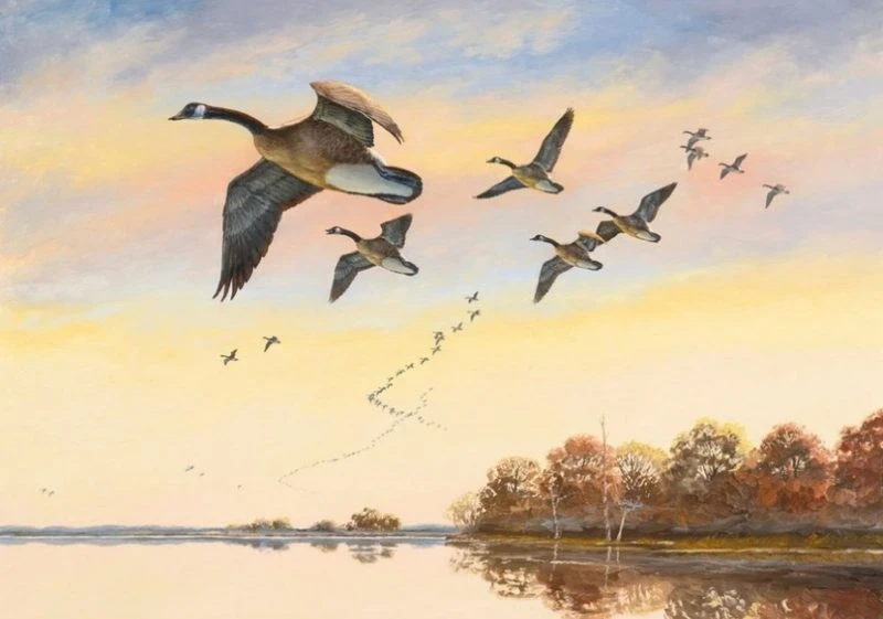 Приметы и поверья на 28 сентября 2025 года свое начало берут от праздника Никита Гусятник