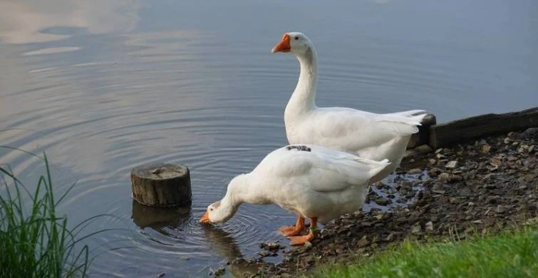 Что можно и нельзя делать в праздники, отмечаемые 28 сентября 2025 года