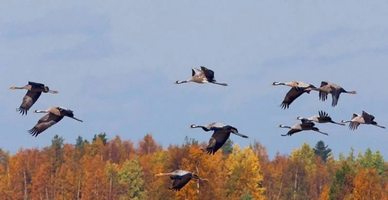 Церковные и простые праздники, отмечаемые 1 октября 2025 года