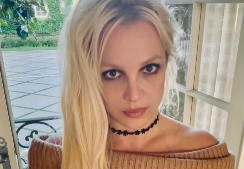 В сети снова обсуждают психическое состояние Бритни Спирс из-за антисанитарии в её доме