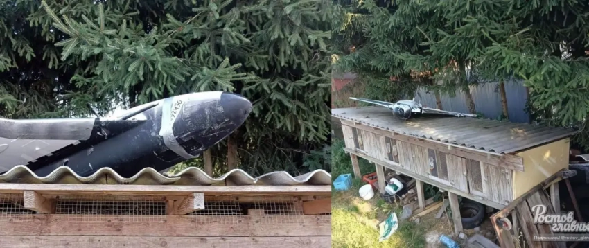 В польских соцсетях: подобие «Герберы» легко можно купить на Украине