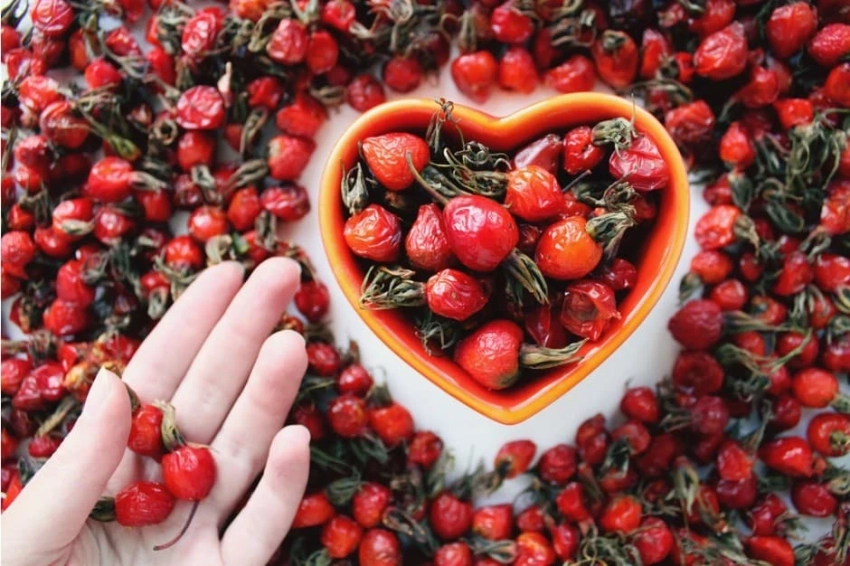 Что можно и что нельзя делать в праздник Арины Шиповницы 1 октября 2025 года