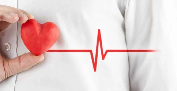 Замена мяса бобами: Откройте для себя секреты сердечно-сосудистого здоровья