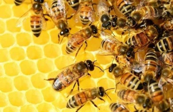 Что можно и нельзя делать в праздники 2 октября 2025 года по приметам