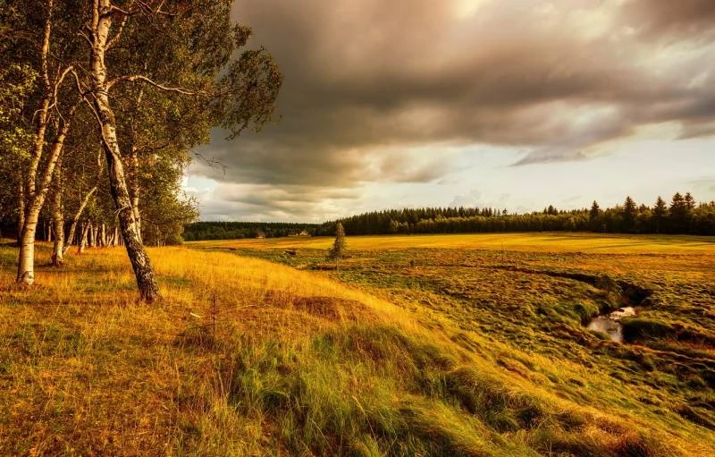 Церковные праздники в честь князей Михаила и Олега отмечают 3 октября 2025 года
