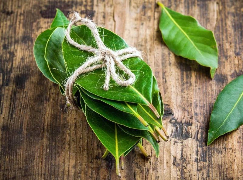 Лавровый лист в магические дни: как с помощью шепотка изменить свою судьбу