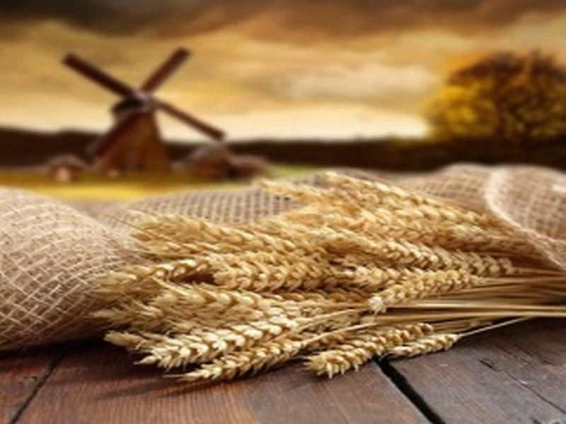 Народный праздник Кондрат да Ипат отмечают 4 октября 2025 года