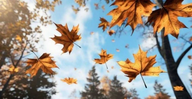 Традиции, запреты и старинные приметы в праздники 4 октября 2025 года