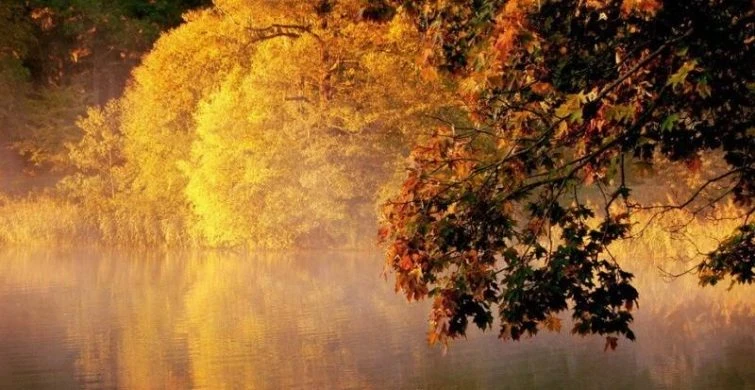 Какой церковный праздник сегодня 4 октября 2025 года: память святых мучеников Кодрата Афинского и Ипатия почитают в России