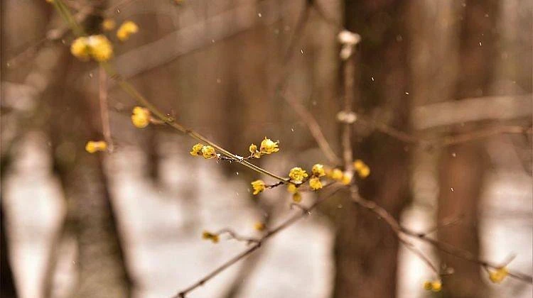 Октябрь 2025: Долгосрочный прогноз погоды — что нас ждет?