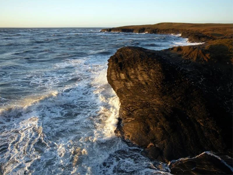Уникальная экосистема: флора и фауна на бомбах Второй мировой войны в Балтийском море