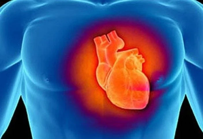 Секреты сердечного здоровья: 5 доступных продуктов для крепких сосудов