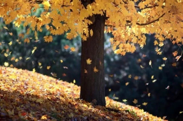 Народные приметы и поверья на 5 октября 2025 года связаны с Днем Ионы