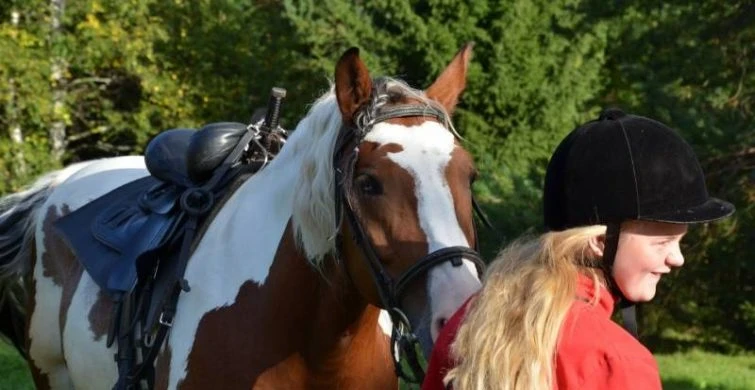 Год Огненной Лошади: Основные табу и ошибки, которых следует избегать