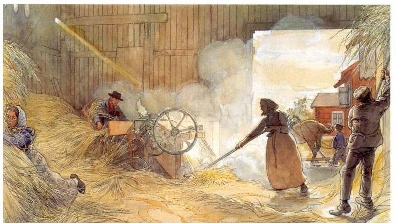 Поверья и приметы на 7 октября 2025 года связаны с Феклой-заревницей