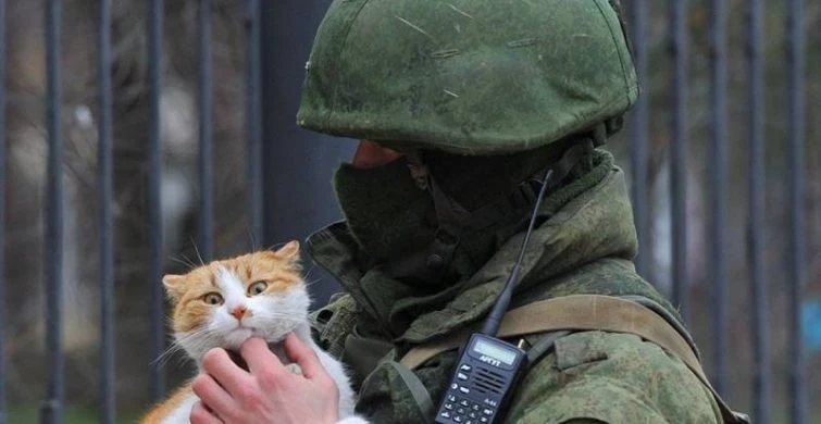 В России 7 октября отмечают День вежливых людей: как поздравить знакомых и близких