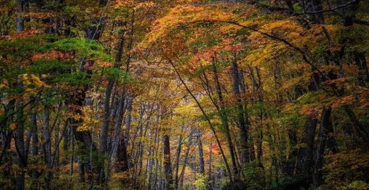 Церковно-народный праздник 7 октября: приметы, традиции и запреты