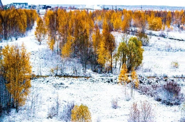 Что можно и что нельзя делать в праздник Сергей Капустник, 8 октября 2025 года
