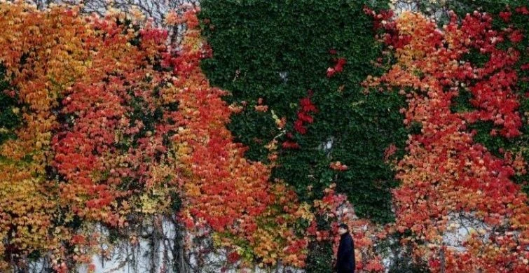 Праздники 10 октября, которые отмечали на Руси: важные дела, запреты и народные приметы