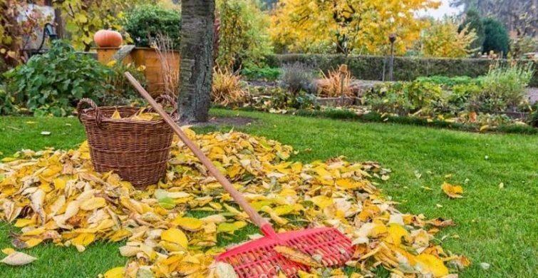 Правила закрытия дачного сезона: от уборки до хранения