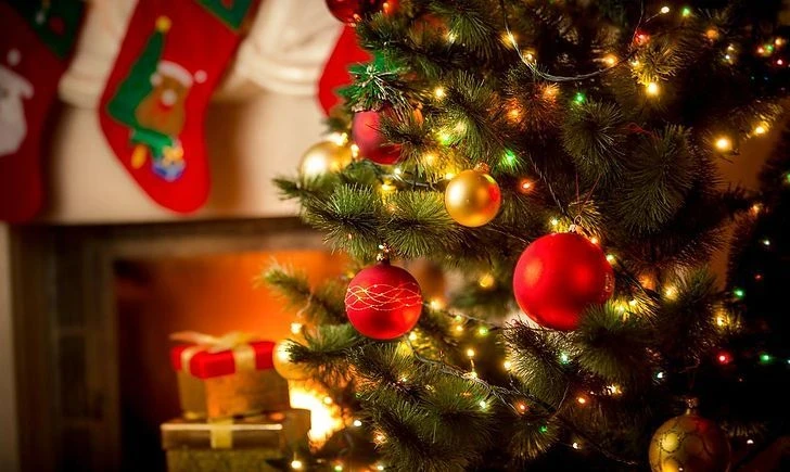 Ваш цвет удачи на 2026 год: как одеться для Огненной Лошади и притянуть успех