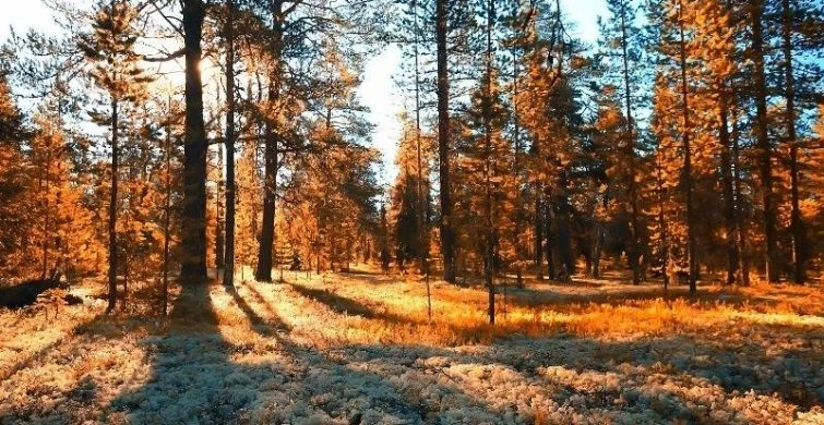 Что можно и нельзя делать по народным приметам в праздники 11 октября 2025 года