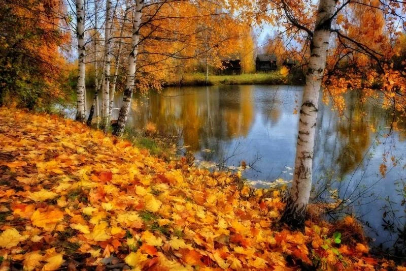 Несколько церковных праздников отмечают 12 октября 2025 года: Феоана Милостивого и Кириака Отшельника