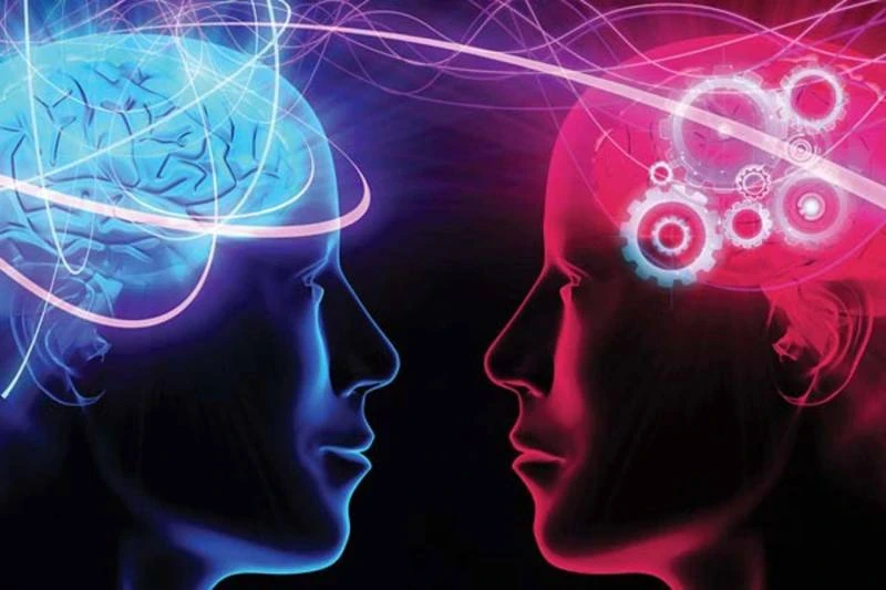 Философия «жизнь в пузыре»: названы причины популярности