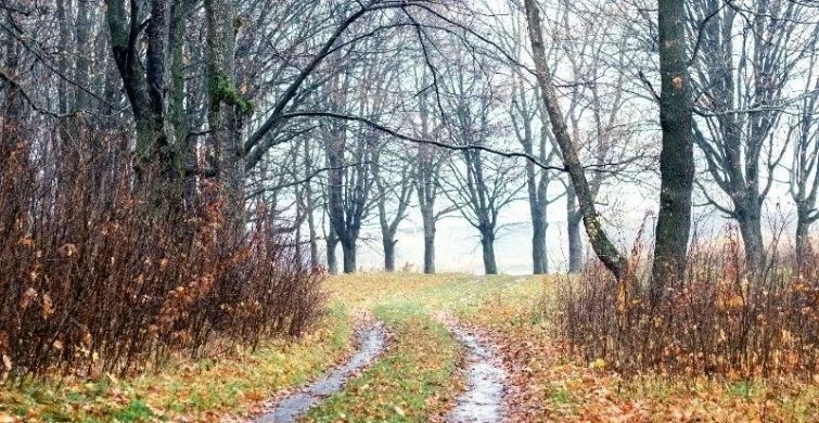 Важные дела и строгие запреты в народный праздник 13 октября 2025 года