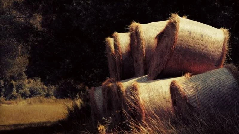 Какой сегодня праздник, 13 октября 2025 года: церковный праздник Михаил Соломенный отмечают в России