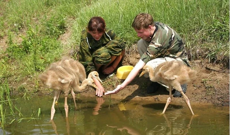 На территории России 14 октября 2025 года отмечается срезу несколько праздников