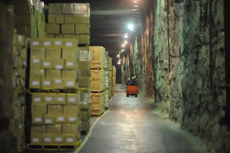 Гражданская безопасность: создание продовольственного резерва на случай кризиса