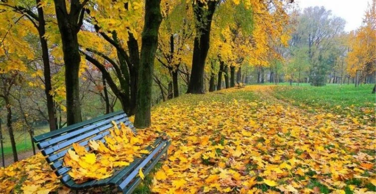 Какой сегодня церковный праздник 16 октября 2025 года. Верующие россияне почитают память святого мученика Дионисия Ареопагита