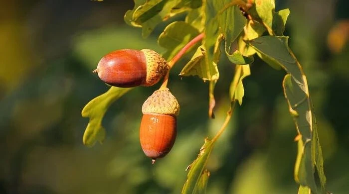 Что можно и нельзя делать по народным приметам в праздники 17 октября 2025 года