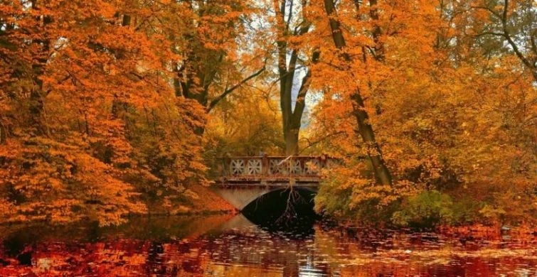 Ерофеев день 17 октября 2025 года богат на приметы, традиции, обряды