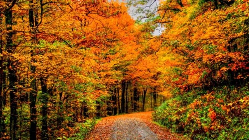 Церковный праздник «День памяти Харитины Амисийской» отмечают в России 18 октября в 2025 году