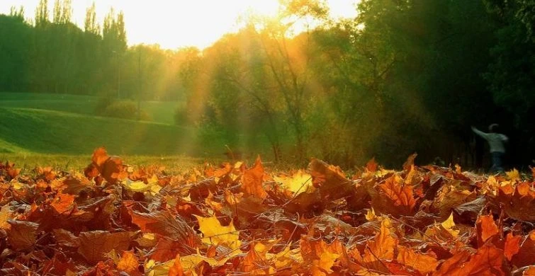 Какой сегодня церковный праздник 18 октября 2025 года: верующие россияне упоминают мученицу Харитину