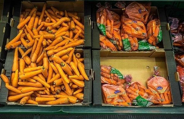 Морковь и свекла: когда убирать и как хранить, чтобы сохранить свежесть