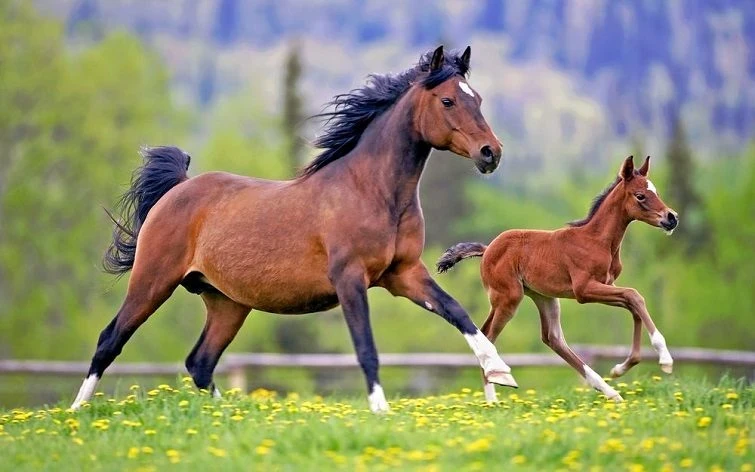 Финансовый успех: 4 знака Зодиака, которые станут миллионерами в 2026 году