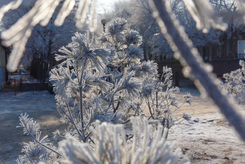 Приметы и поверья на 20 октября 2025 года, помогающие улучшать атмосферу в доме