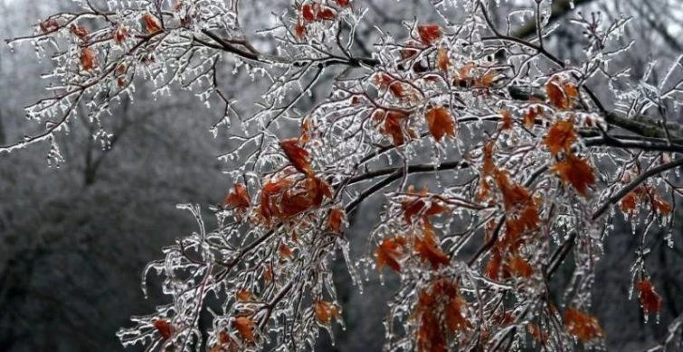 Важные дела, народные приметы и строжайшие запреты праздников 20 октября 2025 года