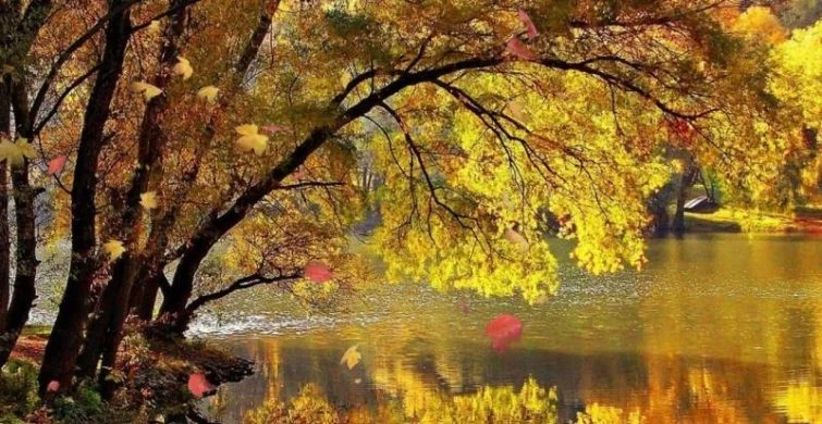 Какой церковный праздник сегодня 21 октября 2025 года: православная церковь почтит память святых Пелагии Антиохийской и Трифона Вятского