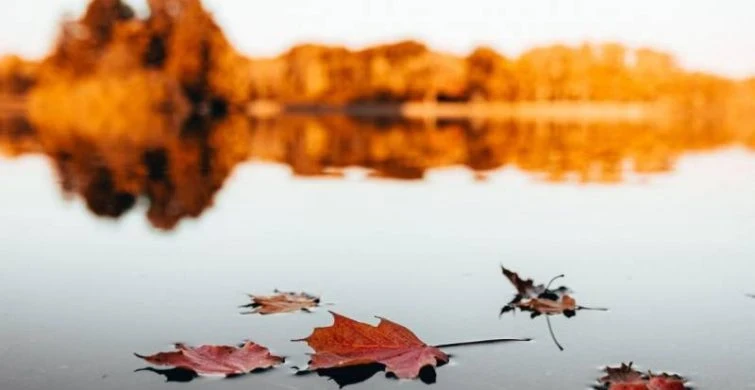 Что можно и нельзя делать в народно-христианский праздник 21 октября 2025 года