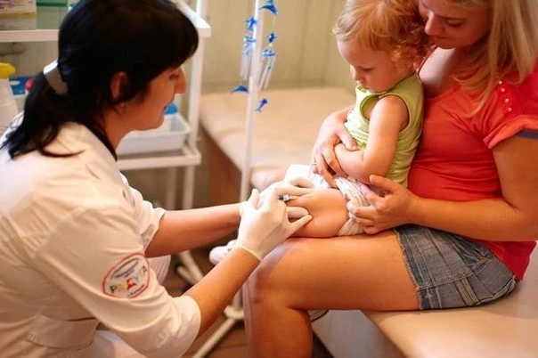 Праздники, которые отметят в России и мире 24 октября 2025 года