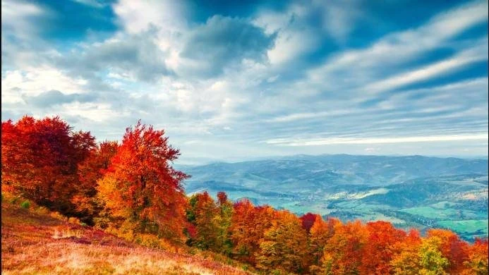 Какой сегодня праздник, 25 октября 2025 года: День таможенника, маркетолога, работника кабельной промышленности и Международный день пасты